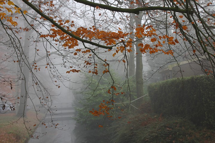 autumn