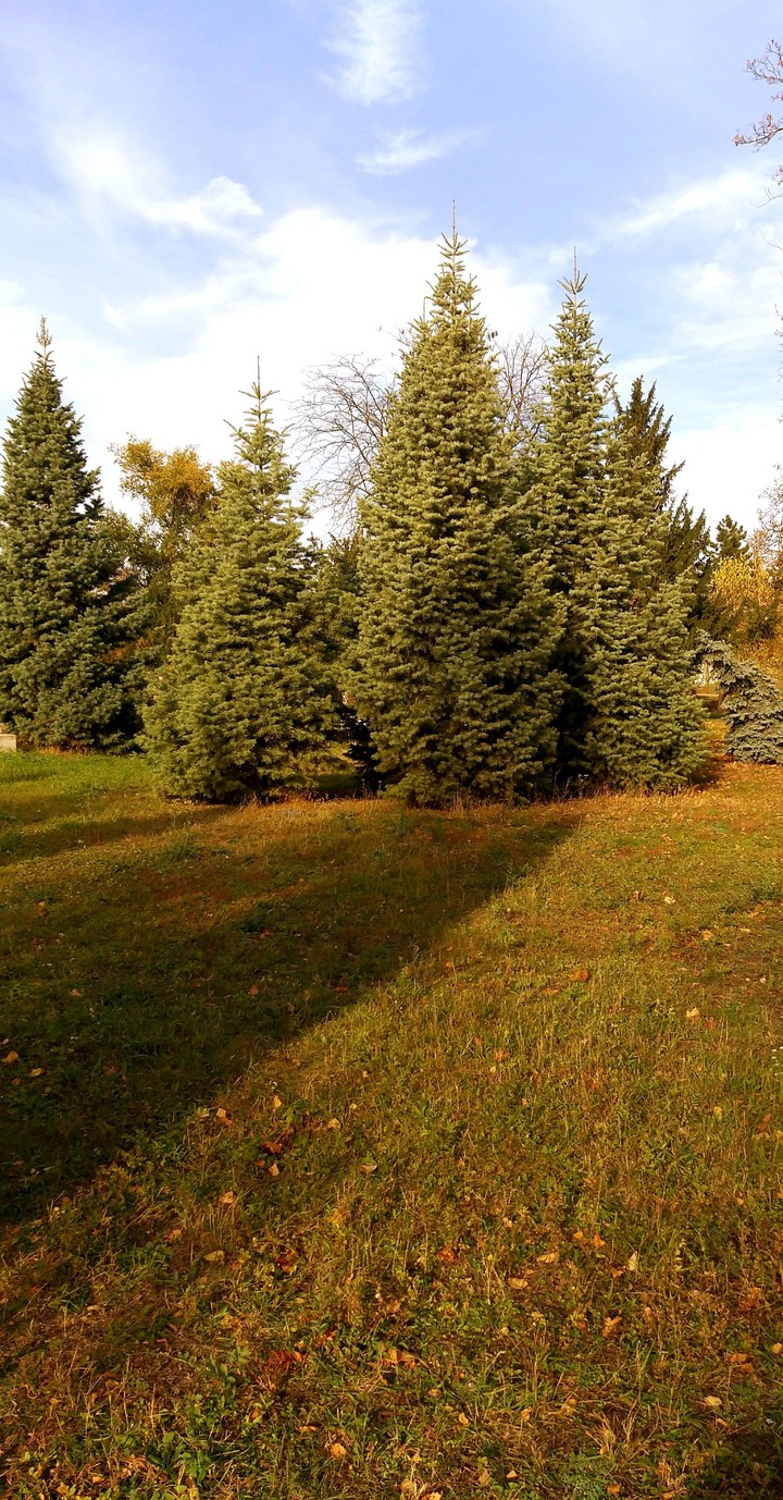 Beautiful autumn in Moldova!