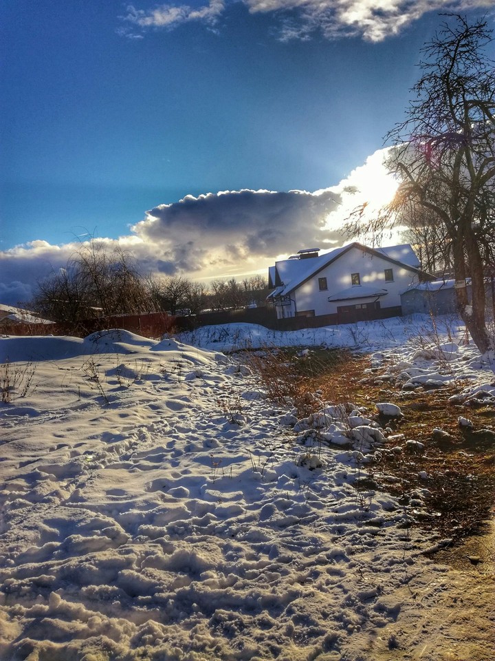 Winter
