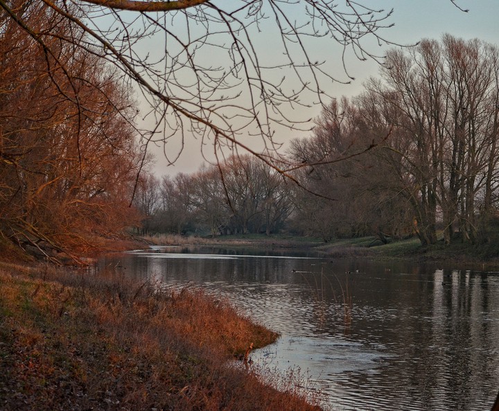 Nature