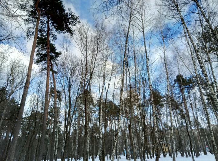Просто прогулка