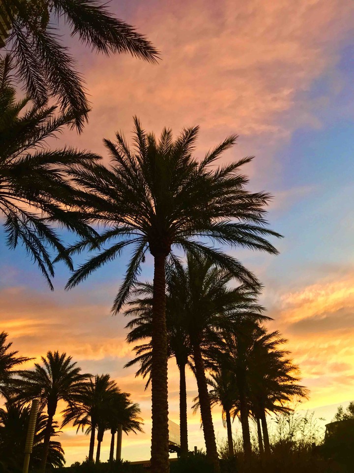 8:05pm in LA