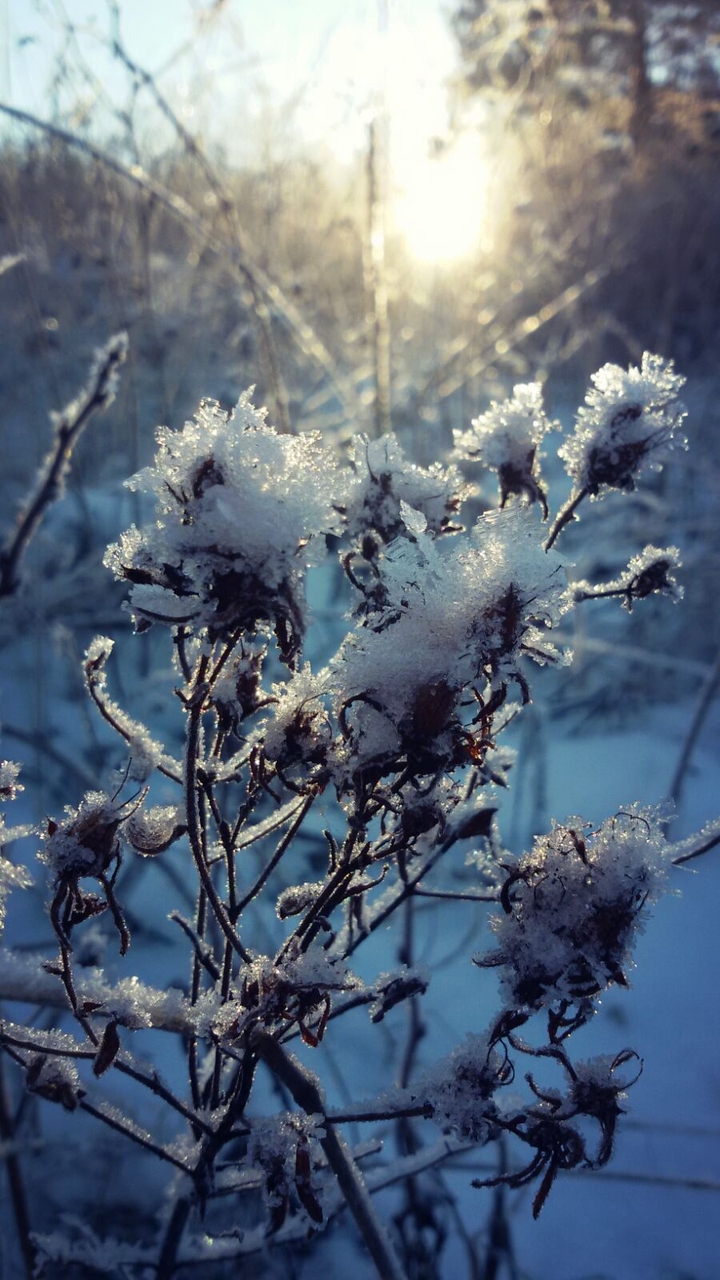 snow and sun