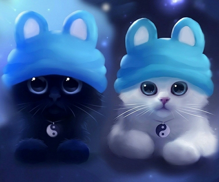 cats