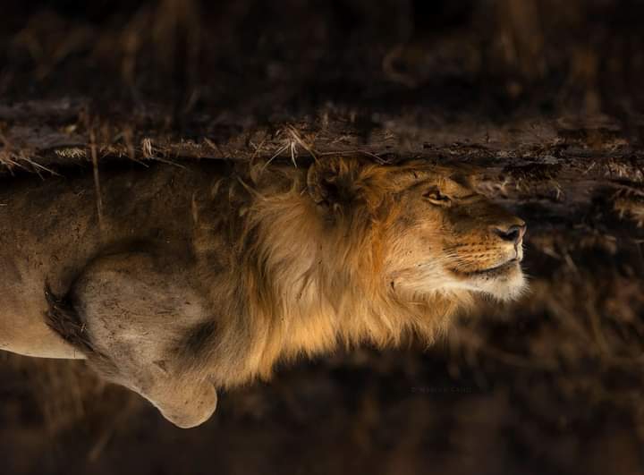 Upside-down