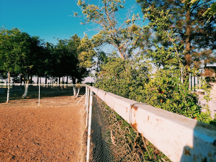 schoolyard