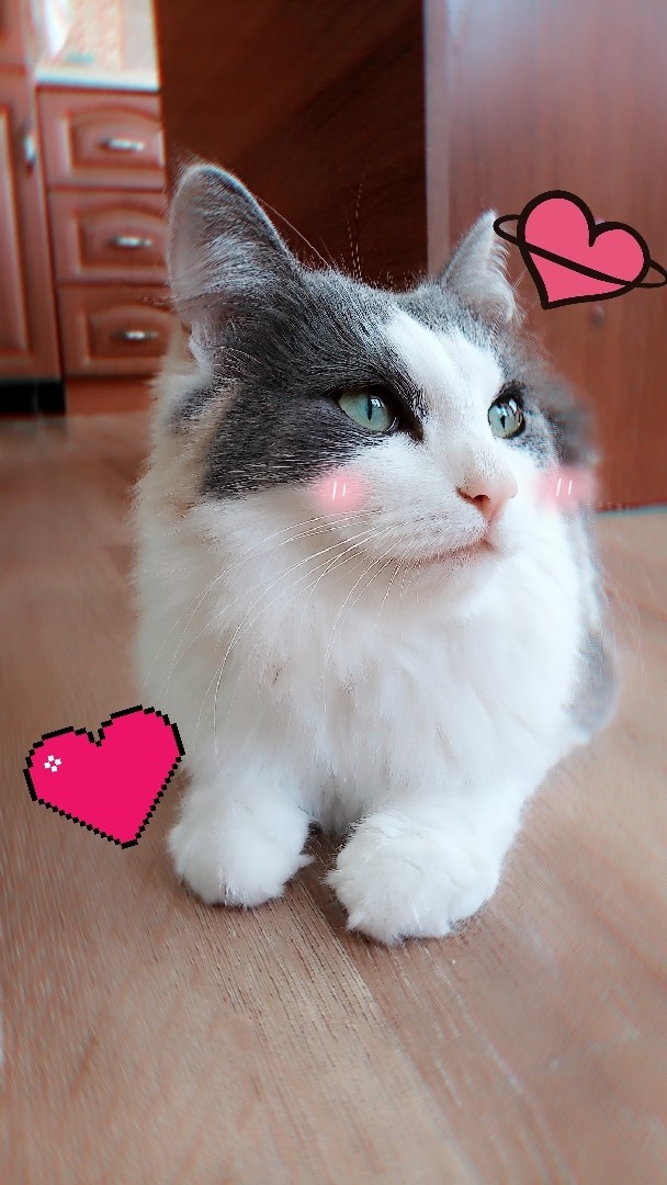 Зямуля