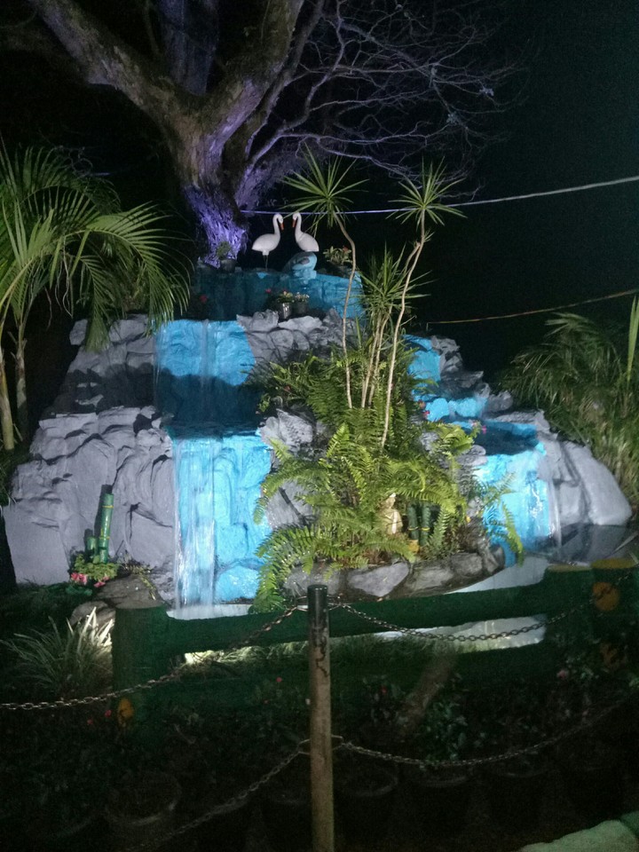 flower show