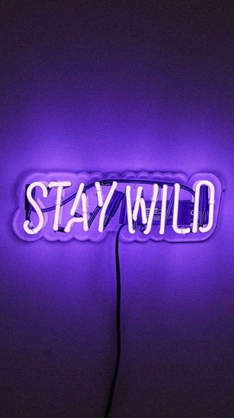 stay wild