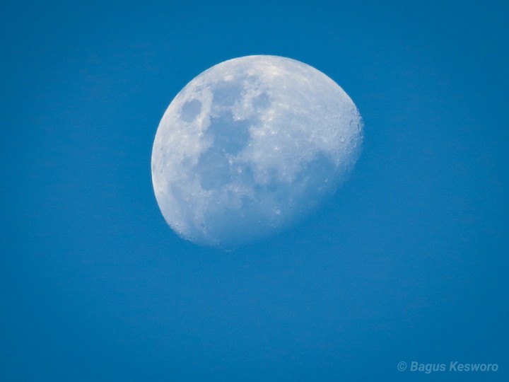 Blue Sky Moon