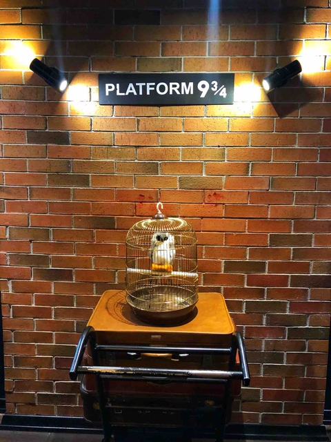 Platform 9¾