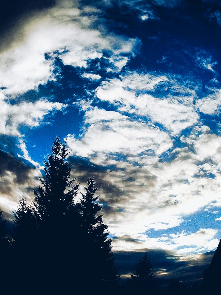 U.A