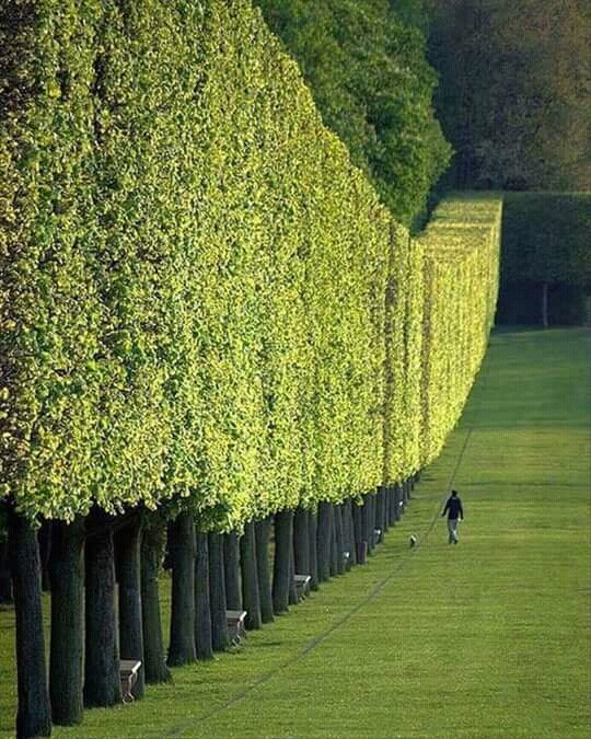 Nature