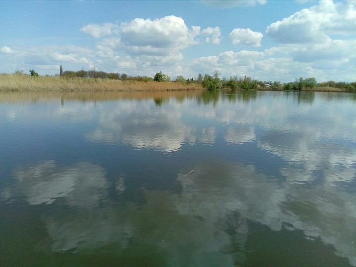 Rive