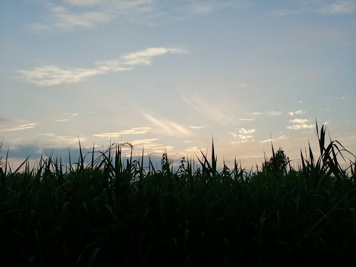 before sunset