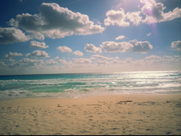 the sea