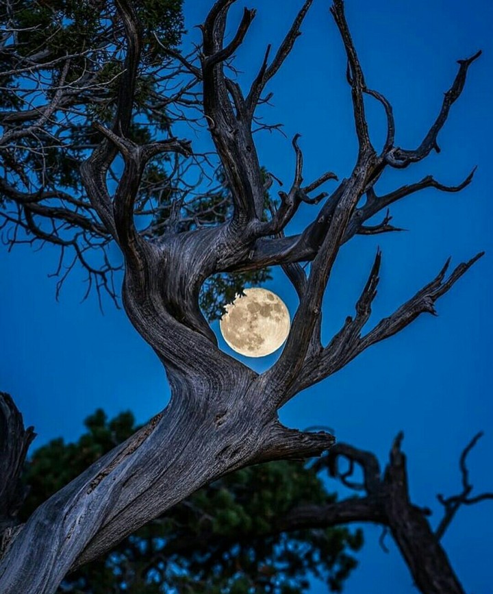 Full moon