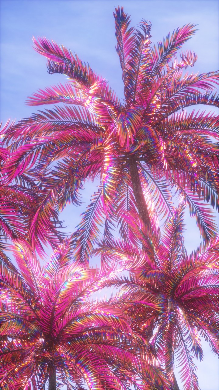 Holo Summer