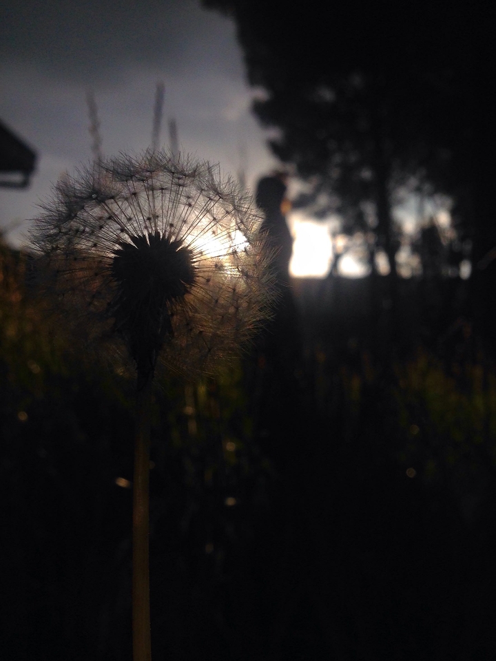 Moments of far away world
