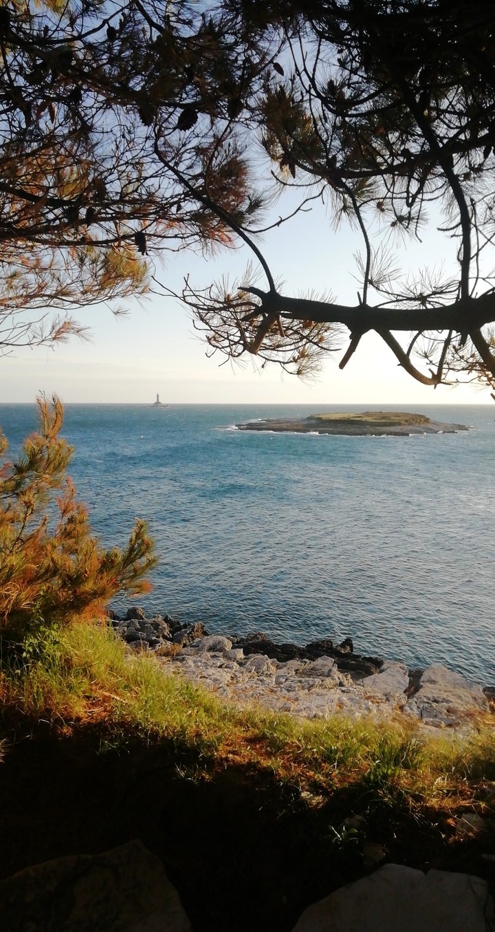the view on the sea