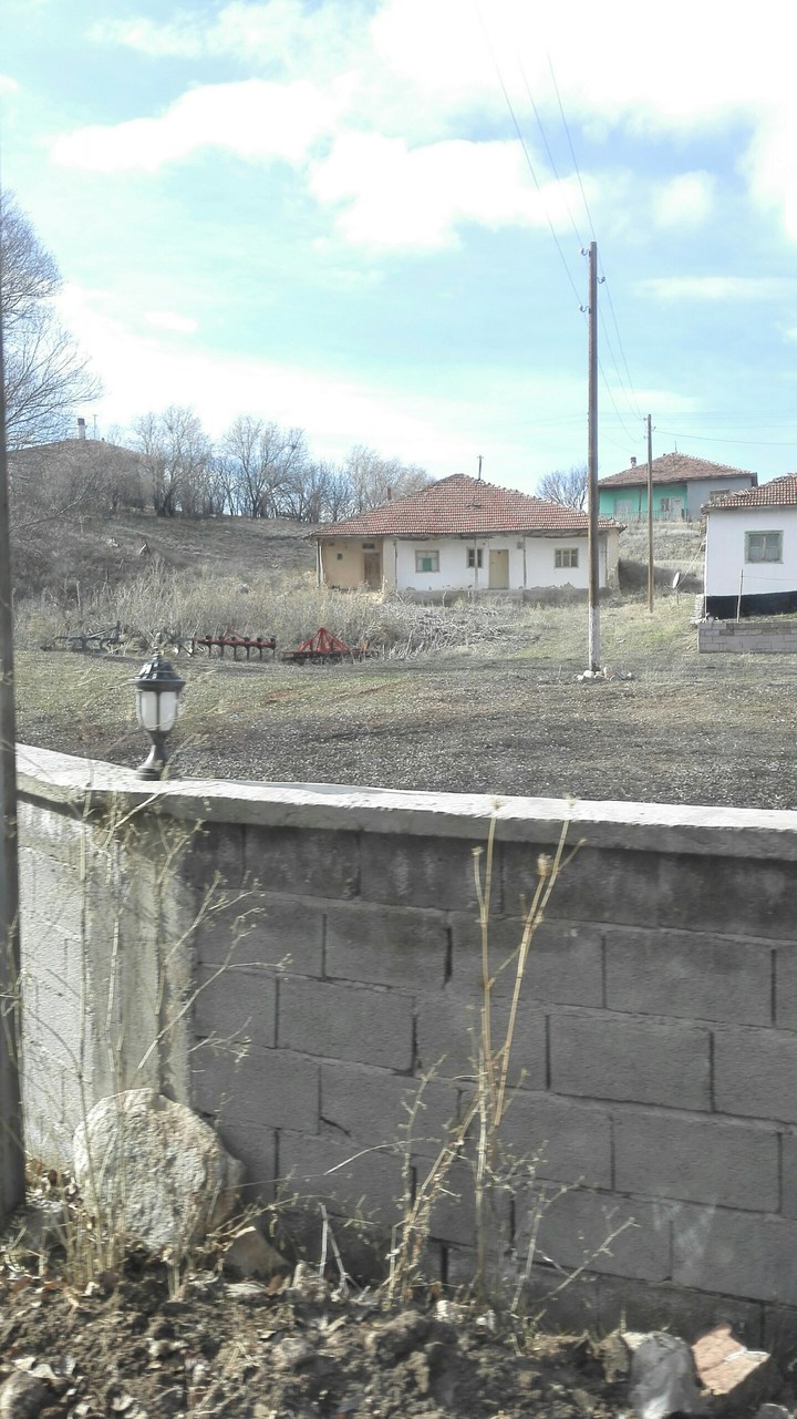 boyalık