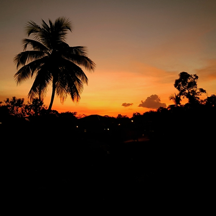 Evening Sky