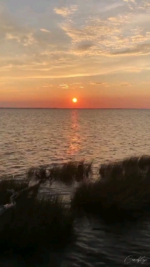 calmness