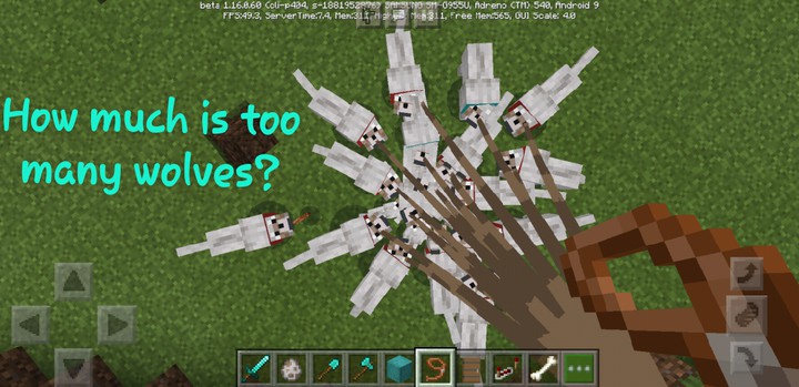 How much is too many Wolves?