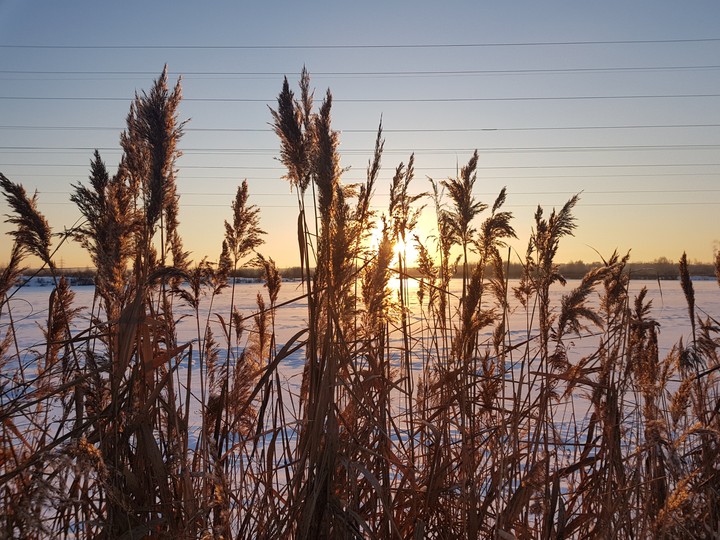 winter sun