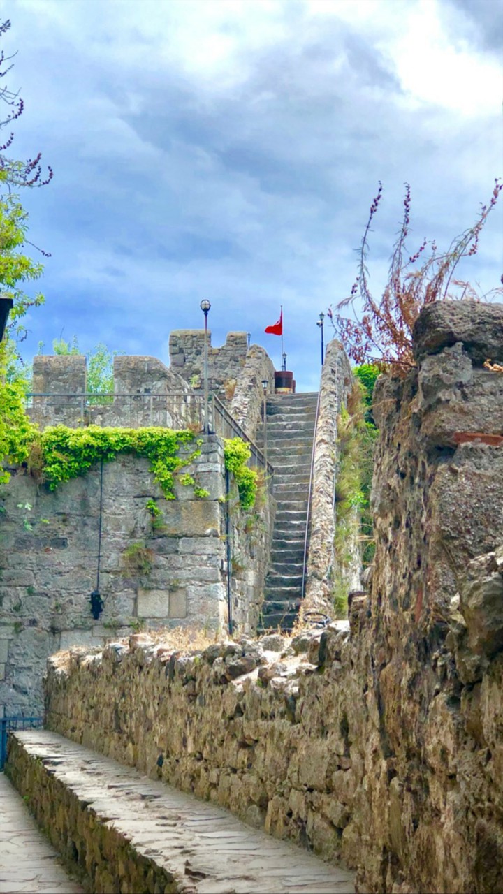 sinop