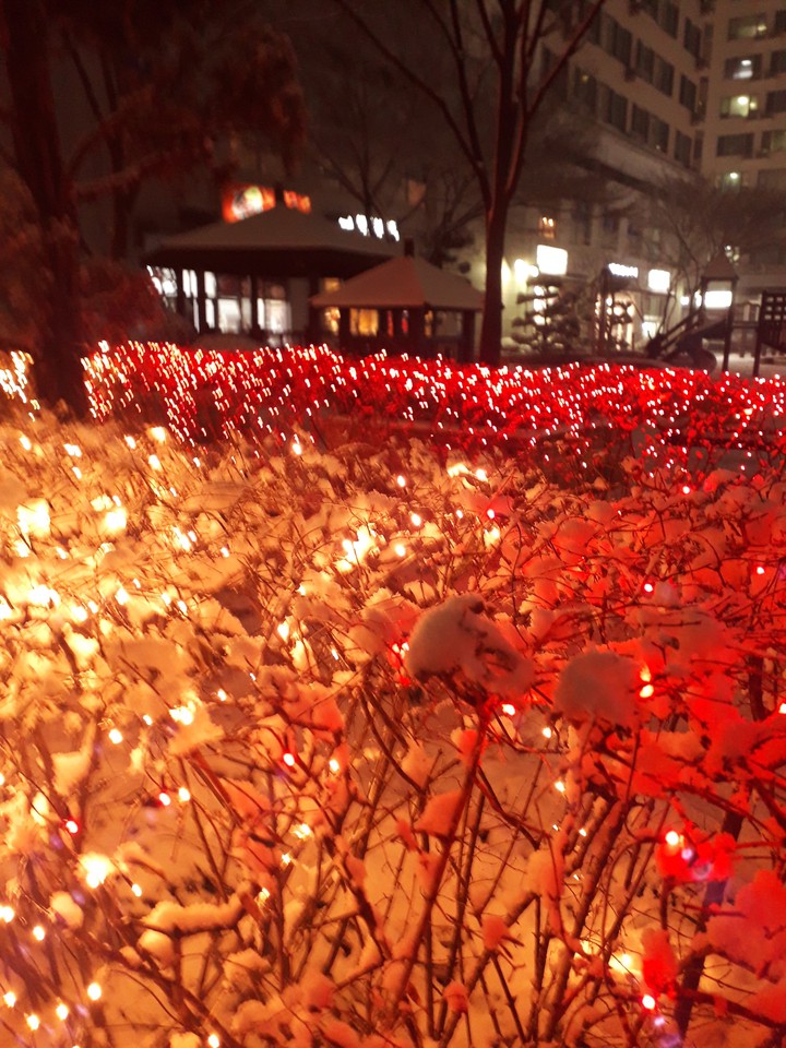 christmas light