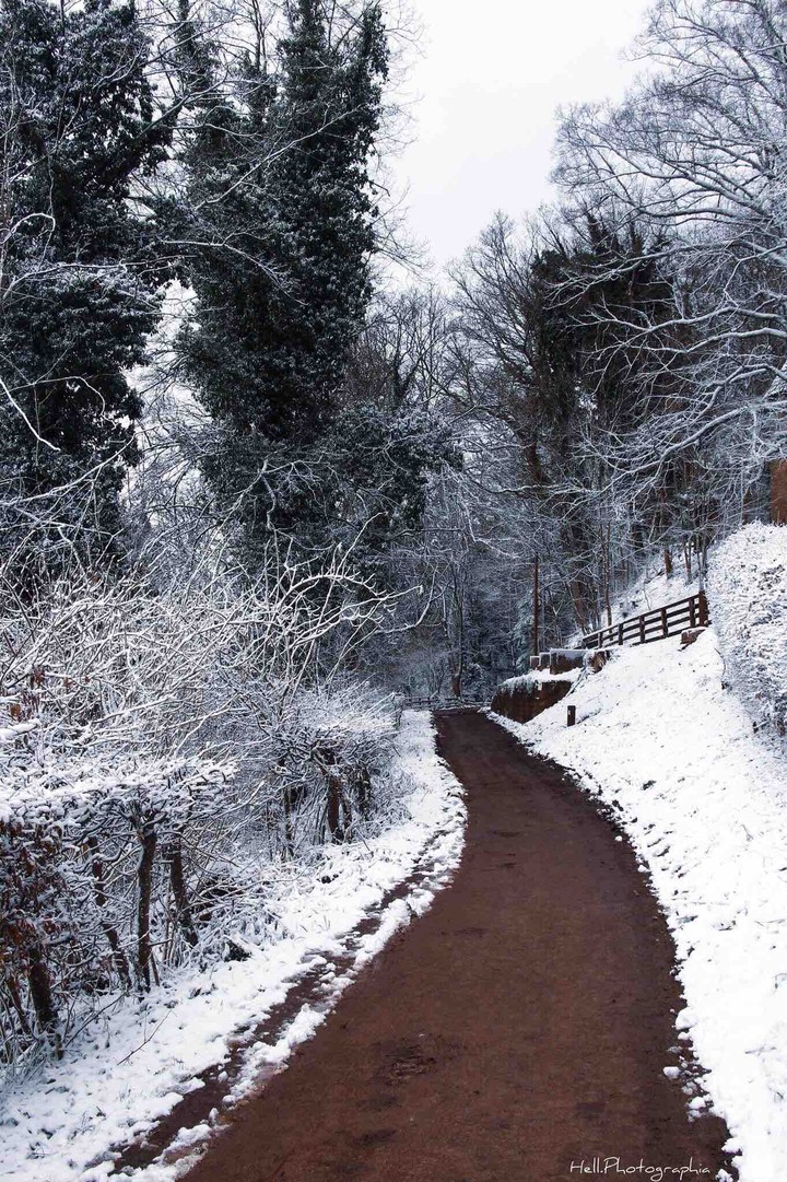 snow patch