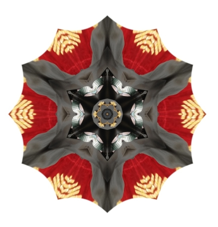 Pattern Flower