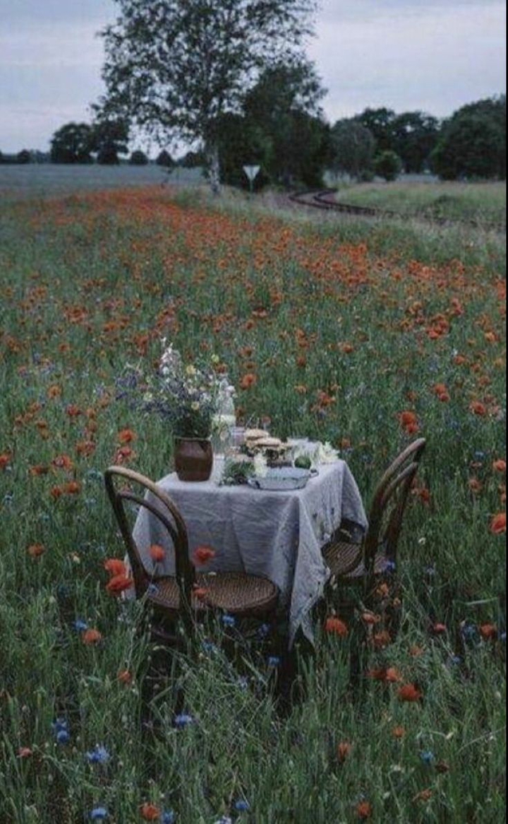 cottagecore aesthetic