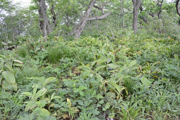 산이미지