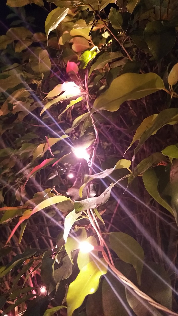 lights