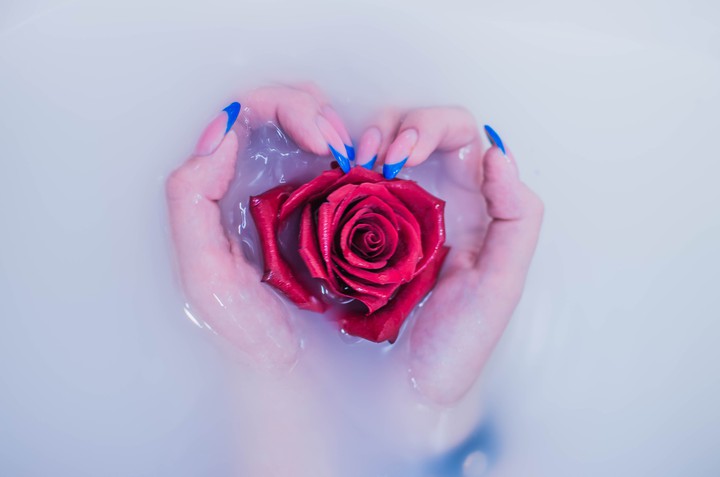 rose