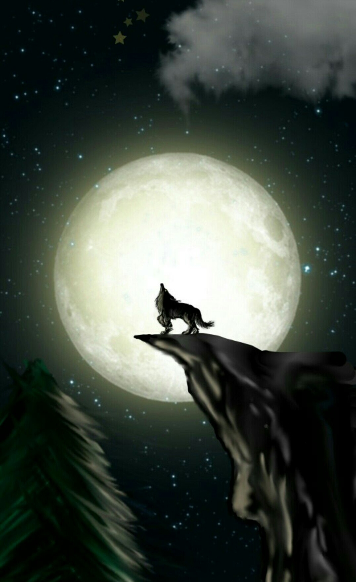 WOLF 