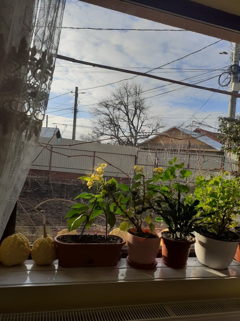 Contrast to winter day