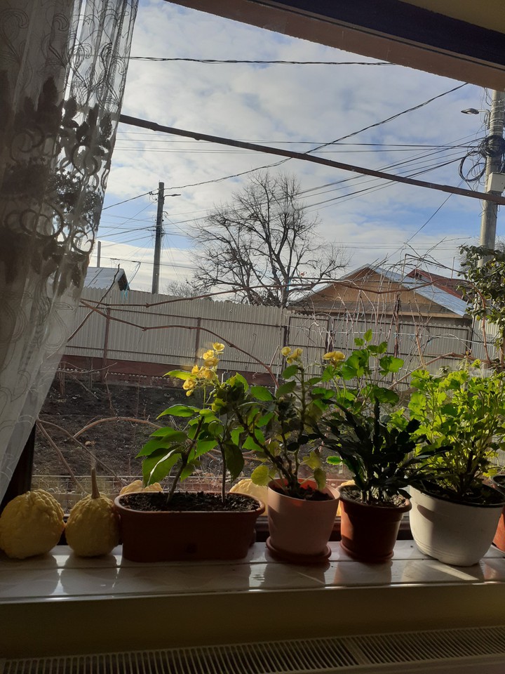 Contrast to winter day