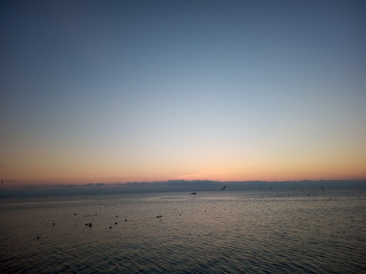 sea
