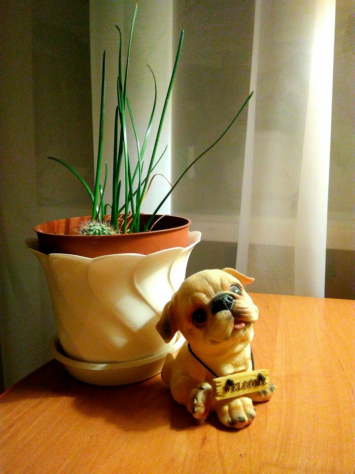 Welcome home! :)