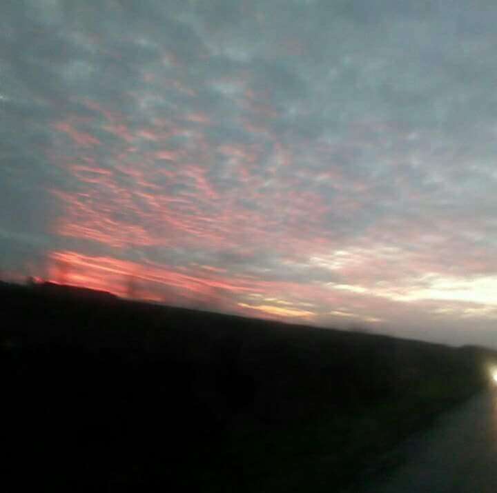 morning