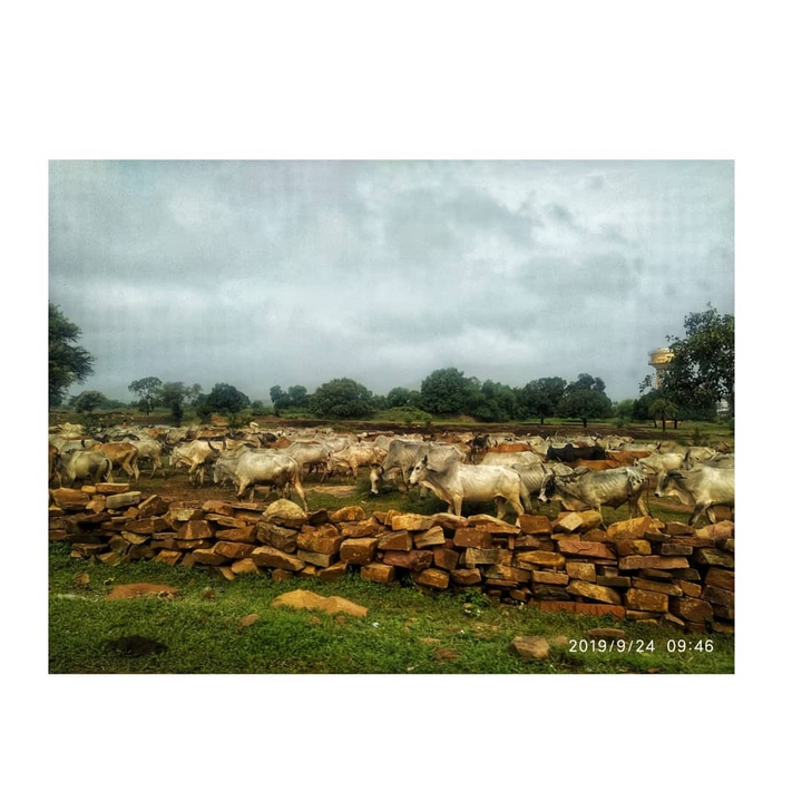 villages