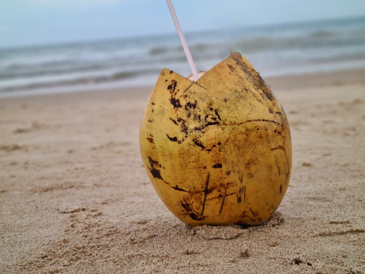 coconut