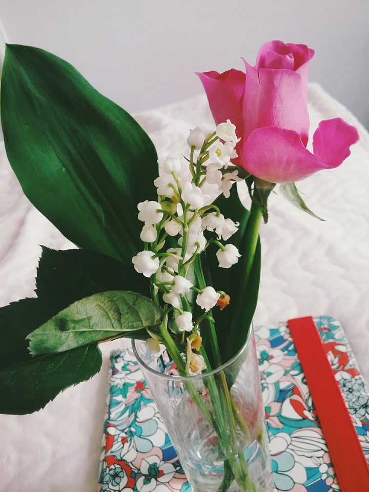 bon 1er mai !!!
