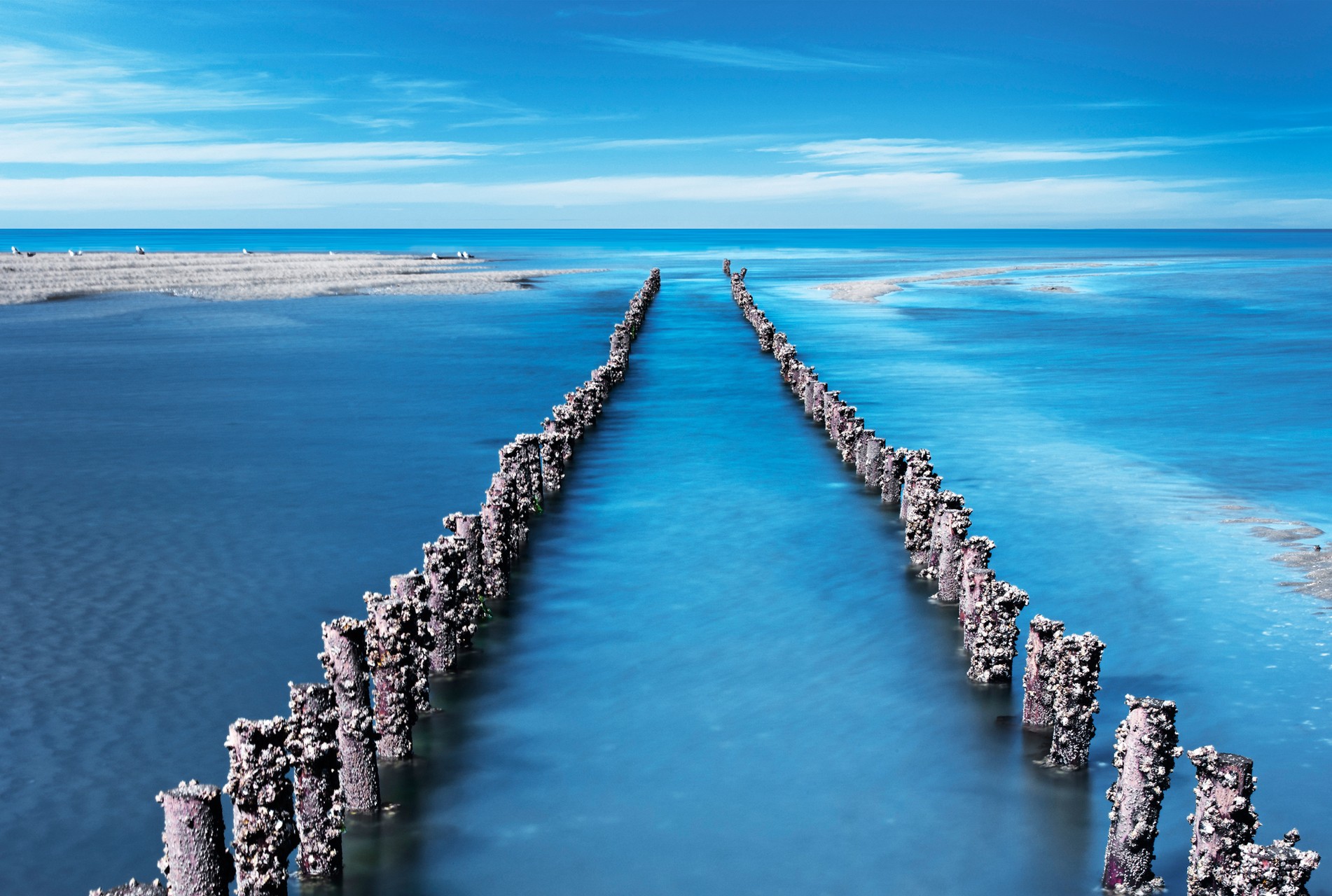 Blue Road