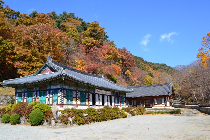 산이미지