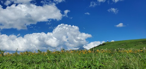 landscape, grass háttérképek