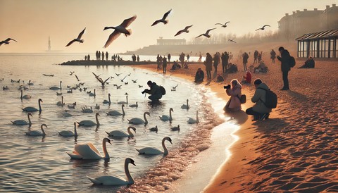 тапети bird, ducks